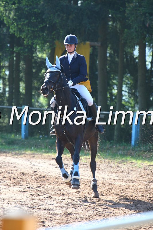 004M1367_J Dremes S_Spring A.JPG